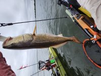 28" Redfish on 20240423